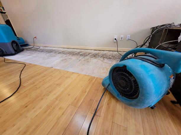 Professional Flood Damage Cleanup technician working in Warren, OR